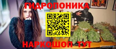 Альфа ПВП Малгобек